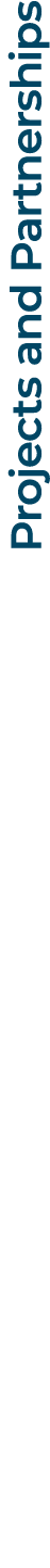 Projects and Partnerships